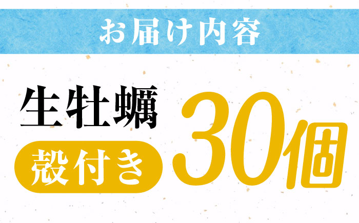 高品質の牡蠣を産地直送！ 【生牡蠣】【着日指定可能】『てつまるかき』牡蠣 殻付き 30個 加熱用 かき 海鮮 海産物 簡単 広島県産 江田島市/有限会社テツマル海産 [XCO007]