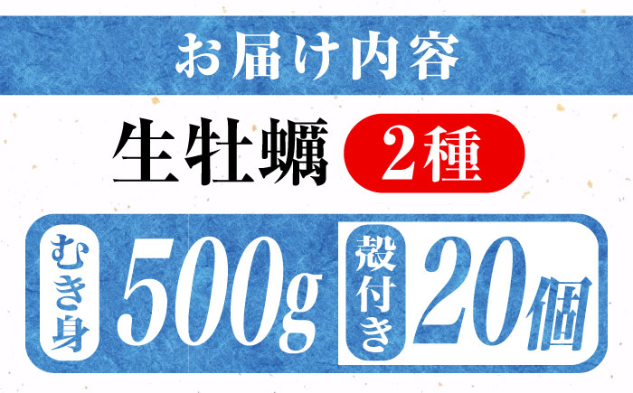 高品質の牡蠣を産地直送！ 【生牡蠣】【着日指定可能】『てつまるかき』牡蠣 むき身500g・殻付き20個セット 加熱用 かき 海鮮 海産物 簡単 広島県産 江田島市/有限会社テツマル海産 [XCO013]