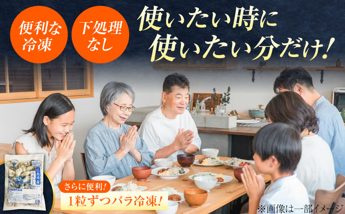 こだわりの急速冷凍！ 広島県産冷凍かき むき身 約1kg カキ かき 牡蠣 オイスター 旬 江田島市/オーシャンポイント株式会社 [XCS002]