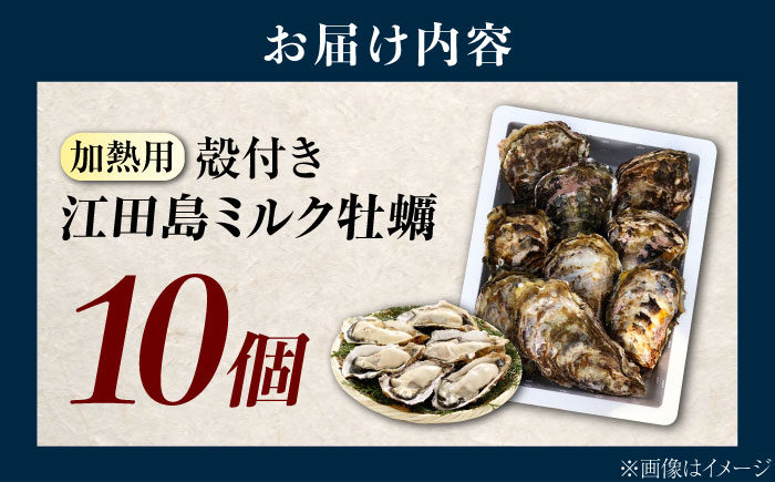 江田島ミルク牡蠣 殻付き 10個 加熱用 かき 広島県産 カキ 貝付き牡蠣 海鮮 贈呈用 BBQ 濃厚 新鮮 蒸し牡蠣 焼き牡蠣 グリル焼き 丸杉水産/江田島市 [XCY001]