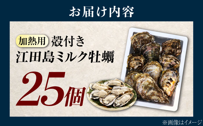 江田島ミルク牡蠣 殻付き 25個 加熱用 かき 広島県産 カキ 貝付き牡蠣 海鮮 贈呈用 BBQ 濃厚 新鮮 蒸し牡蠣 焼き牡蠣 グリル焼き 丸杉水産/江田島市 [XCY003]