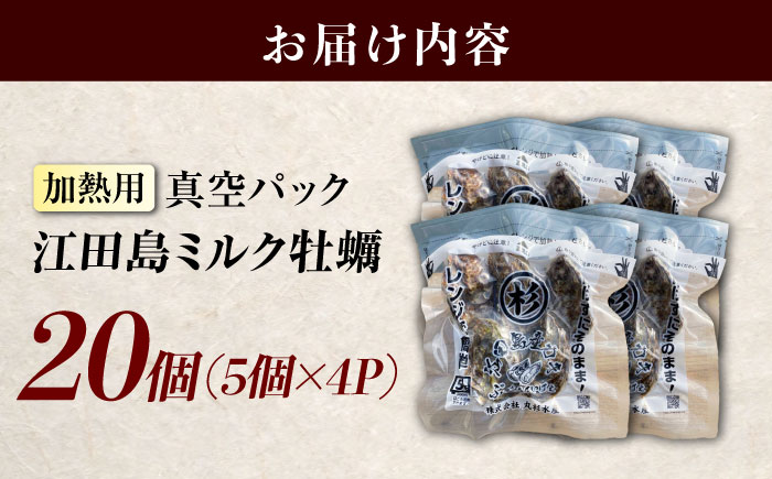 江田島ミルク牡蠣 真空パック 殻付カキ5個入り 4パック 人気 レンジ調理 簡単 レンジ 加熱用 かき 広島県産 カキ 貝付き牡蠣 海鮮 贈呈用 BBQ 濃厚 新鮮 蒸し牡蠣 丸杉水産/江田島市 [XCY006]