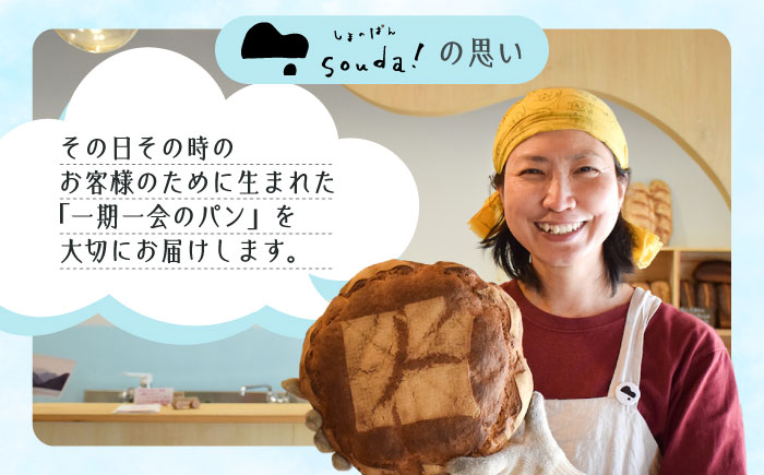 こだわりの石窯焼き！【全12回定期便】こだわり石窯パン 詰め合わせ (2～3種) パン パン屋 カフェ 朝食 おやつ 江田島市/しまのぱん souda！ [XAQ006] 定期便