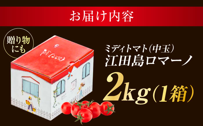 自然を活用した低農薬栽培！江田島ロマーノ トマト 2kg 江田島市/有限会社グリーンファーム沖美[XAB005] 野菜 果物