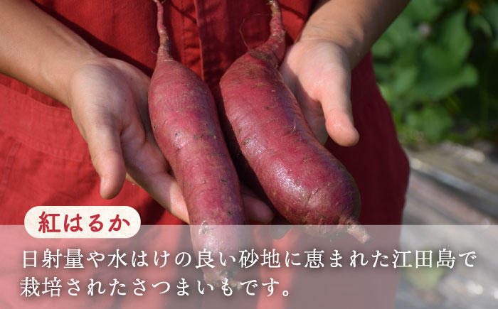 【全12回定期便】もっちり生地！もみぢ饅頭 さつまいも餡（和風/洋風）各12個 江田島市/峰商事合同会社[XAD032] 定期便