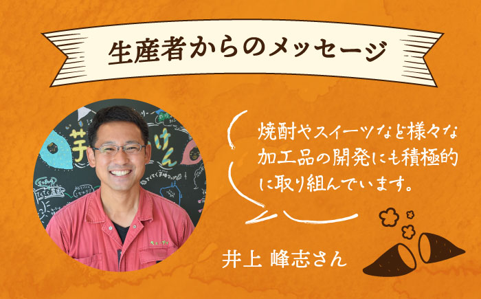 【全3回定期便】気づけばぺろり必至！てくてくのさつまいもたると ホール5号×2個セット 江田島市/峰商事 合同会社[XAD070] 定期便