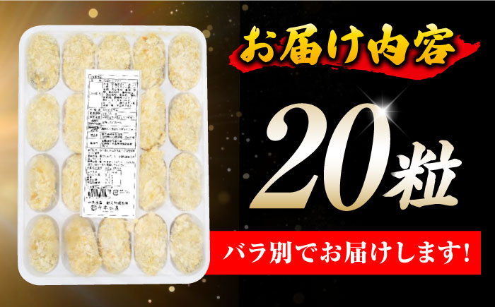 【年内発送】テレビで話題！鍛え牡蠣 冷凍かきフライ 20粒×1袋 江田島市/有限会社寺本水産 [XAE015]