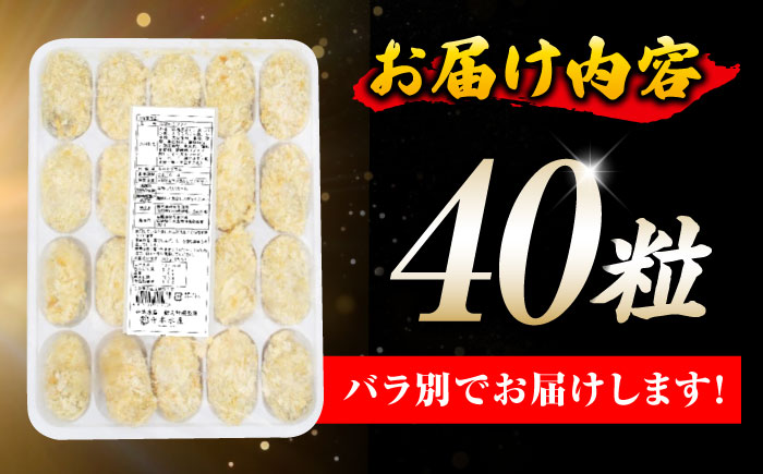【年内発送】テレビで話題！鍛え牡蠣 冷凍かきフライ 20粒×2袋 江田島市/有限会社寺本水産[XAE016]