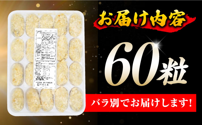 【年内発送】テレビで話題！鍛え牡蠣 冷凍かきフライ 20粒×3袋 江田島市/有限会社寺本水産 [XAE017]