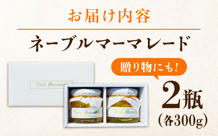 人気のお土産！リピート率ナンバーワン！中下農園の『ネーブルマーマレード』（箱入り・大2個）　みかん 果物 マーマレード ママレード ジャム パン 広島県産 江田島市/江田島市観光協会 [XAI006]