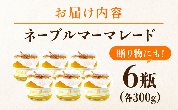 人気のお土産！リピート率ナンバーワン！中下農園の『ネーブルマーマレード』（箱入り・大6個）　みかん 果物 マーマレード ママレード ジャム パン 広島県産 江田島市/江田島市観光協会 [XAI008]
