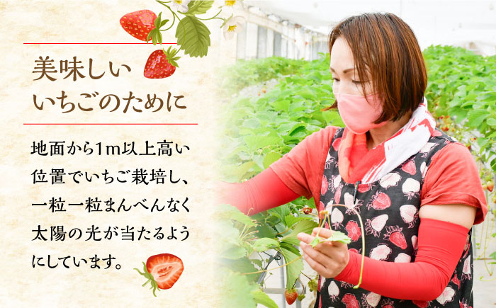 瀬戸内の島で育ったいちごのジャム200mL×6個セット 苺 いちご イチゴ 紅ほっぺ フルーツ 江田島市/沖美ベジタ有限会社[XBA005] 野菜・果物