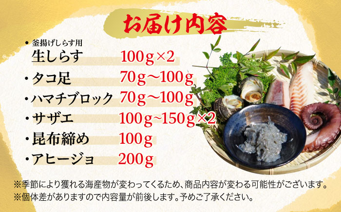 新鮮なお魚盛りだくさん！海鮮詰合せ「梅」 魚介類 海産物 海鮮 刺身 広島 ＜七宝丸＞江田島市 [XBY001] お肉・魚介