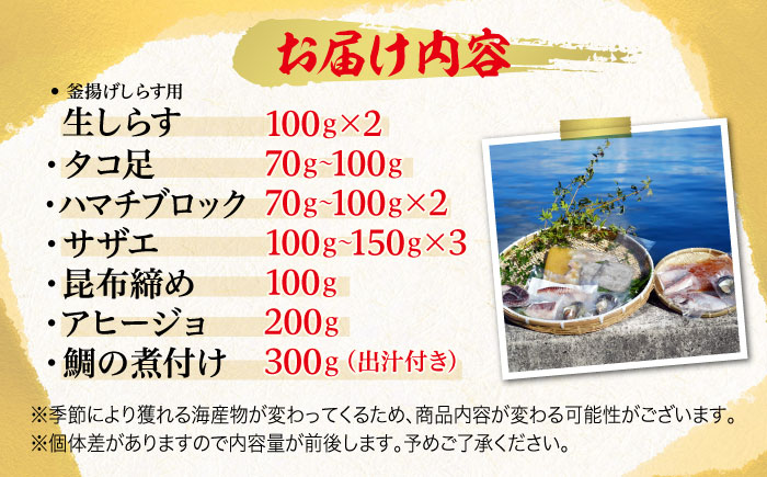 新鮮なお魚盛りだくさん！海鮮詰合せ「竹」 魚介類 海産物 海鮮 刺身 広島 ＜七宝丸＞江田島市 [XBY002] お肉・魚介