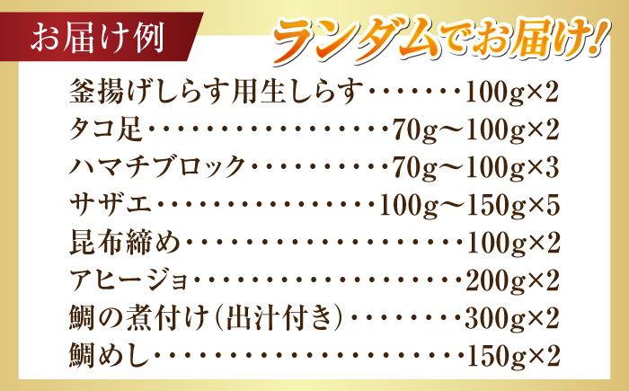 【何が届くかお楽しみ】旬の海の幸 福袋 寄附額5万円相当 魚介類 海産物 海鮮 刺身 広島 江田島市/七宝丸 [XBY008] お肉・魚介