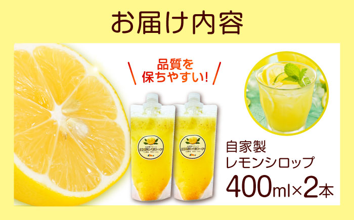 レモンシロップ 400ml×2個 レモン れもん 檸檬 フルーツ 果物 江田島市/七宝丸 [XBY011]