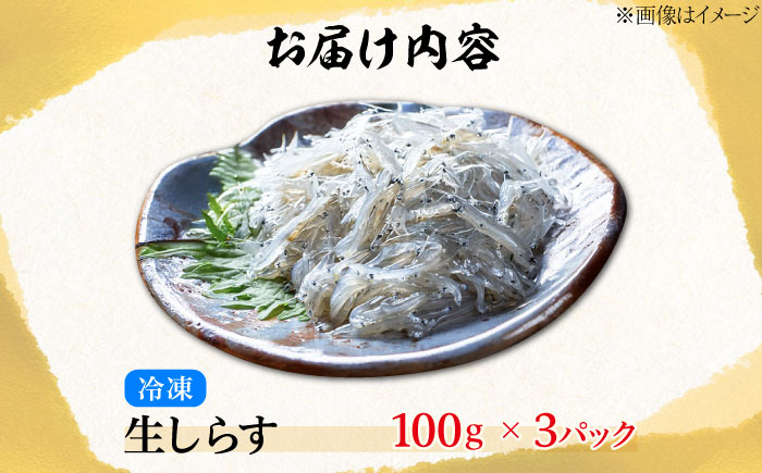 生しらす 100g×3個 しらす シラス 冷凍 小分け 魚介類 海鮮 丼 広島県産 江田島市/七宝丸 [XBY013]