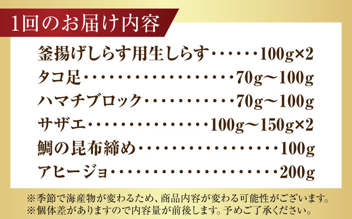 【全6回定期便】新鮮なお魚盛りだくさん！海鮮詰合せ「梅」 料理 和食 簡単 レシピ 魚介類 海産物 海鮮 刺身 ギフト お取り寄せ 江田島市/七宝丸 [XBY015]