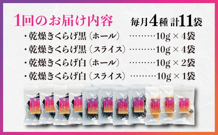 【全3回定期便】【栄養満点のスーパーフード！りんりんきくらげ】国産 乾燥 木耳 美容 健康 ぷりこりセット 計11袋＜株式会社凛＞江田島市 [XCB009] 定期便