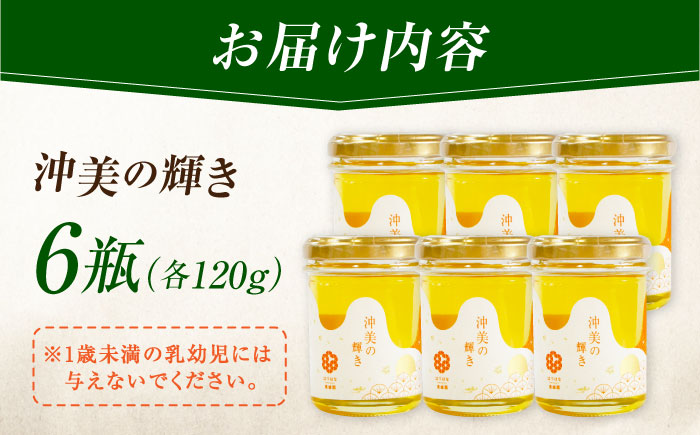 【年内発送】まじりっけなし！江田島産100％!はちみつ『沖美の輝き』120g×6本セット ハチミツ ハニー 蜂蜜 国産 広島県 江田島市/はつはな果蜂園 [XCD003] 調味料
