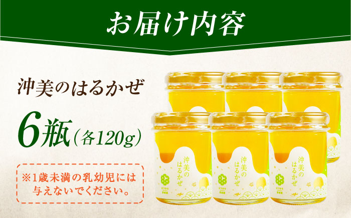【年内発送】まじりっけなし！江田島産100％!はちみつ『沖美のはるかぜ』120g×6本セット ハチミツ ハニー 蜂蜜 国産 広島県 江田島市/はつはな果蜂園 [XCD005] 調味料