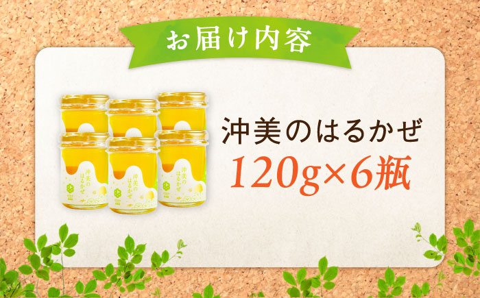 【全12回定期便】まじりっけなし！江田島産100％!はちみつ『沖美のはるかぜ』120g×6本セット ハチミツ ハニー 蜂蜜 国産 広島県 江田島市/はつはな果蜂園 [XCD017] 定期便