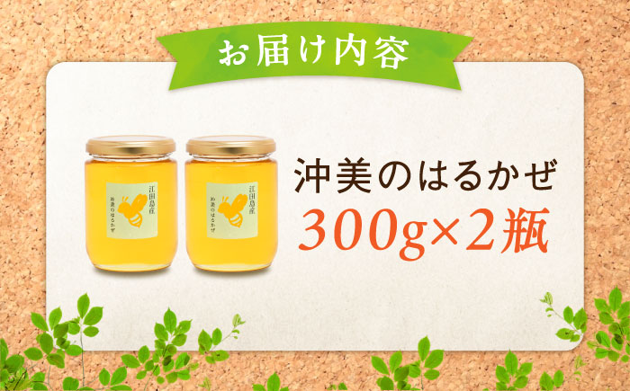 【全12回定期便】まじりっけなし！江田島産100％!はちみつ『沖美のはるかぜ』300g×2本セット ハチミツ ハニー 蜂蜜 国産 広島 江田島市/はつはな果蜂園 [XCD020] 定期便