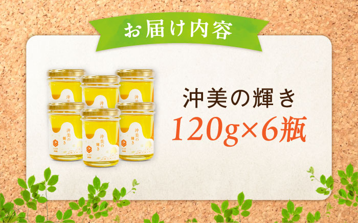 【全3回定期便】まじりっけなし！江田島産100％!はちみつ『沖美の輝き』120g×6本セット ハチミツ ハニー 蜂蜜 国産 広島県 江田島市/はつはな果蜂園 [XCD021] 定期便
