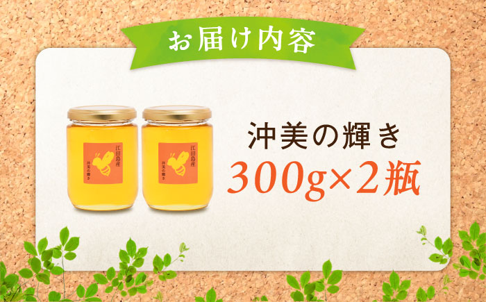 【全12回定期便】まじりっけなし！江田島産100％!はちみつ『沖美の輝き』300g×2本 ハチミツ ハニー 蜂蜜 国産 広島 江田島市/はつはな果蜂園 [XCD026] 定期便