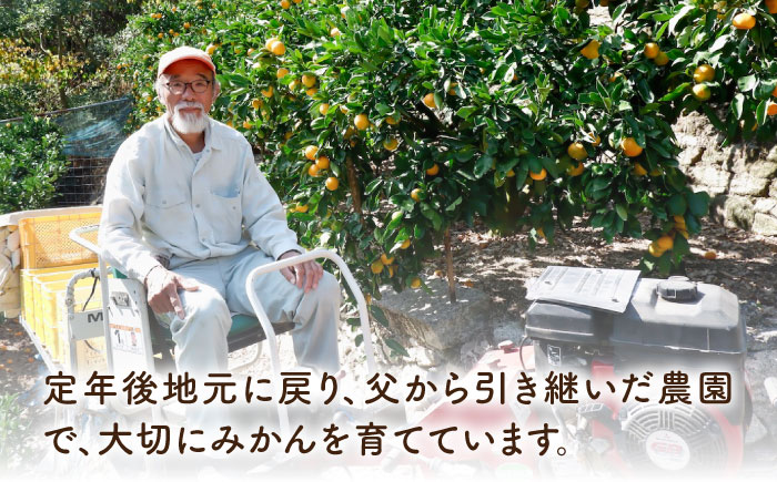 【期間限定】瀬戸内の恵たっぷり！温州 みかん 5kg 南柑 中生 ミカン 柑橘＜小原農園＞江田島市[XCE001] 野菜・果物