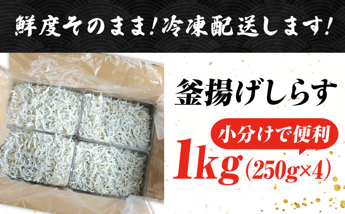 【お歳暮対象】鮮度抜群＆水分率80％!ふわふわ釜揚げしらす 1kg 冷凍 シラス 鮮魚 ギフト 海鮮丼 広島県 江田島/三島水産株式会社 [XCN001] お肉・魚介