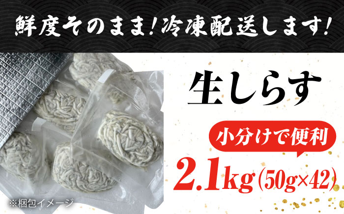 【お歳暮対象】しらす 冷凍 シラス　小分け 干し 生しらすのプリッした食感と塩味が抜群！生しらす50g×42個 冷凍 シラス 鮮魚 ギフト 海鮮丼 広島県産 江田島市/三島水産株式会社 [XCN004] お肉・魚介