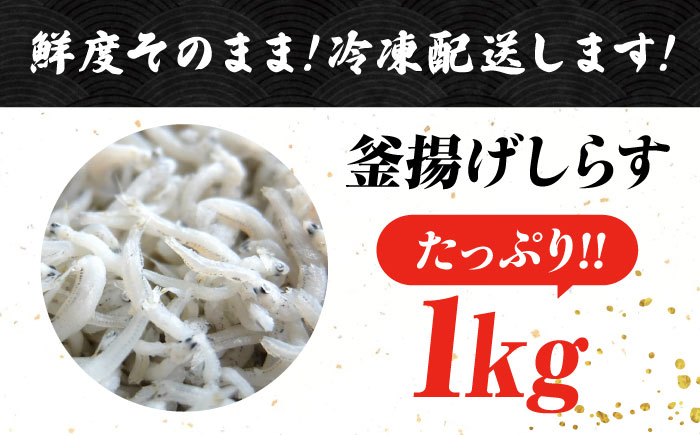 【訳あり】しらす 冷凍 シラス 干し 釜揚げ鮮度抜群＆水分率80％!ふわふわ釜揚げしらす 1kg （業務用） 冷凍 シラス 鮮魚 ギフト 海鮮丼 広島県 江田島/三島水産株式会社 [XCN007] お肉・魚介