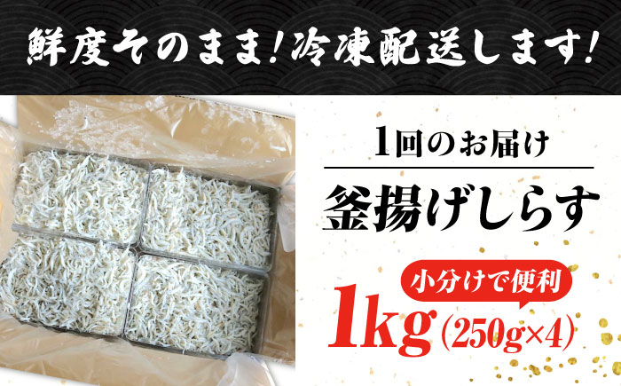 【全6回定期便】鮮度抜群＆水分率80％!ふわふわ釜揚げしらす 1kg 冷凍 シラス 鮮魚 ギフト 海鮮丼 広島県 江田島/三島水産株式会社 [XCN009] 定期便