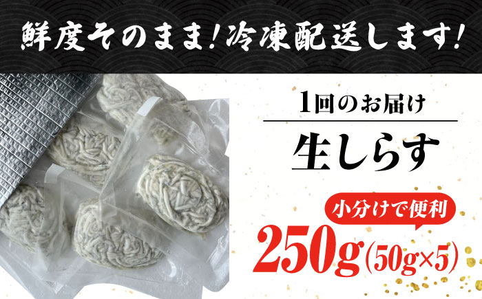 【全6回定期便】生しらすのプリッした食感と塩味が抜群！生しらす50gX5個 冷凍 シラス 鮮魚 ギフト 海鮮丼 広島県産 江田島市/三島水産株式会社 [XCN012] 定期便