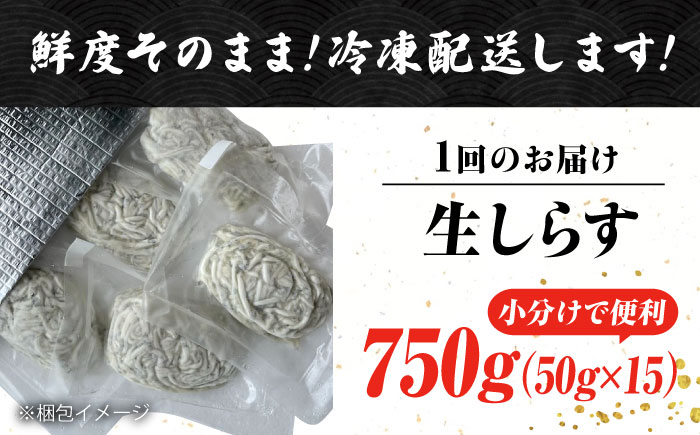 【全3回定期便】しらす 冷凍 シラス 小分け 干し 生しらすのプリッした食感と塩味が抜群！生しらす50g×15個 冷凍 シラス 鮮魚 ギフト 海鮮丼 広島県産 江田島市/三島水産株式会社 [XCN014] 定期便