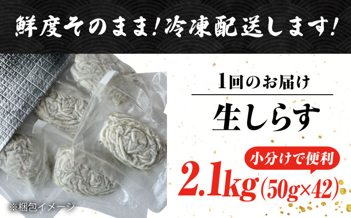 【全12回定期便】しらす 冷凍 シラス　小分け 干し 生しらすのプリッした食感と塩味が抜群！生しらす50g×42個 冷凍 シラス 鮮魚 ギフト 海鮮丼 広島県産 江田島市/三島水産株式会社 [XCN019] 定期便