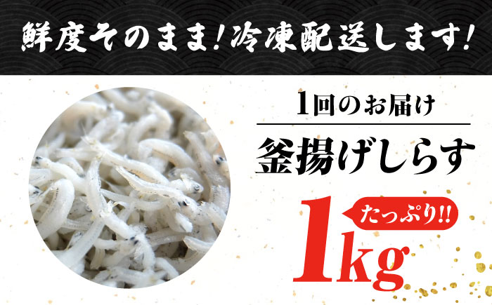 【全12回定期便】【訳あり】しらす 冷凍 シラス 干し 釜揚げ鮮度抜群＆水分率80％!ふわふわ釜揚げしらす 1kg （業務用） 冷凍 シラス 鮮魚 ギフト 海鮮丼 広島県 江田島/三島水産株式会社 [XCN028] 定期便