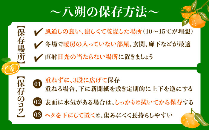 八朔 2kg 小玉 江田島市産 ハッサク はっさく 広島 みかん ミカン 柑橘 柑橘類 果物 くだもの フルーツ 家庭用 濃厚 デザート 旬 国産 ハルテラス農園/江田島市 [XCX001]