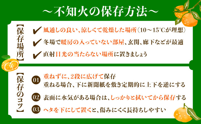 不知火 2kg しらぬい 小玉 デコポン 江田島市産 広島 みかん ミカン 柑橘 柑橘類 果物 くだもの フルーツ 家庭用 濃厚 デザート 旬 国産 ハルテラス農園/江田島市 [XCX002]