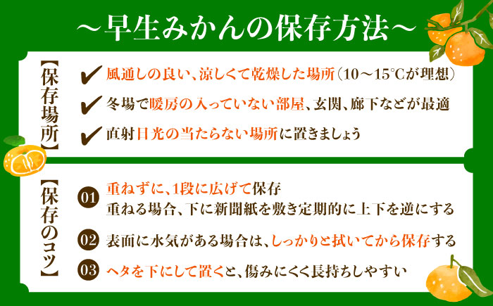 早生みかん 3kg 小玉 わせみかん わせ 江田島産 広島 みかん ミカン 柑橘 柑橘類 果物 くだもの フルーツ 家庭用 濃厚 デザート 旬 特産品 温州みかん 国産 江田島市/ハルテラス農園 [XCX003]