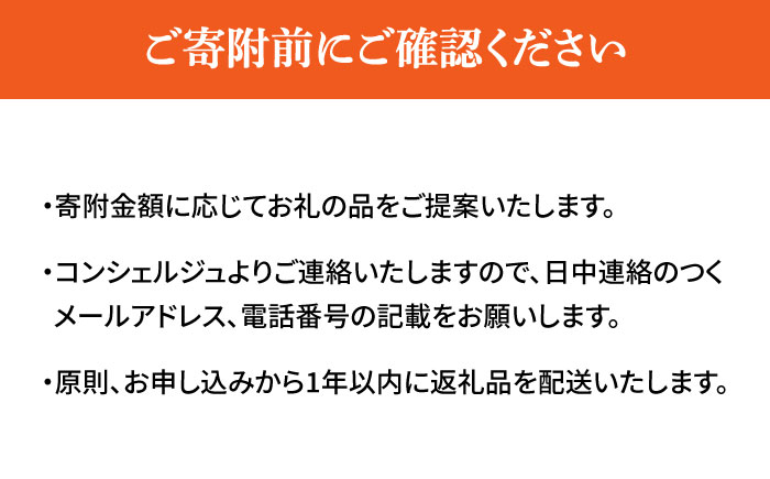 【江田島市コンシェルジュ】返礼品おまかせ！寄附額100万円コース [XZZ004] 旅行・体験