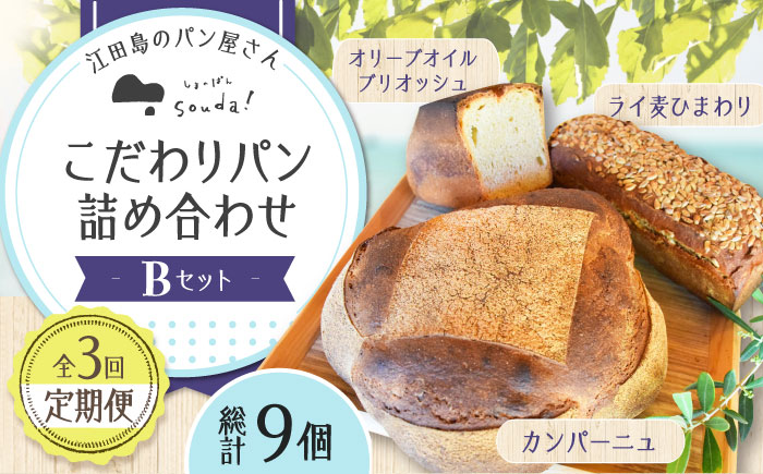こだわりの石窯焼き！【全3回定期便】江田島のパン屋のこだわりパン 詰め合わせ Bセット (計9個) パン パン屋 カフェ 朝食 おやつ 江田島市/しまのぱん souda！ [XAQ010] 定期便