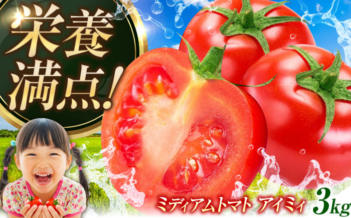 自然を活用した低農薬栽培！ミディアムトマト 3kg 江田島市/有限会社グリーンファーム沖美 [XAB001] 野菜 果物