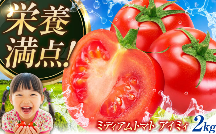 自然を活用した低農薬栽培！ミディアムトマト 2kg 江田島市/有限会社グリーンファーム沖美 [XAB002] 野菜 果物