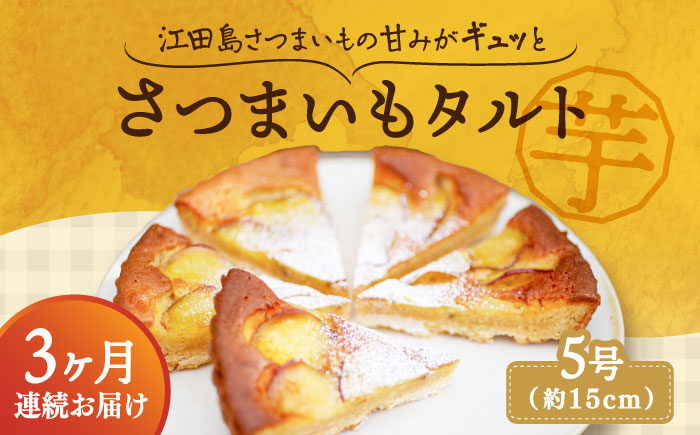 【全3回定期便】気づけばぺろり必至！てくてくのさつまいもたると ホール5号 江田島市/峰商事 合同会社[XAD067] 定期便