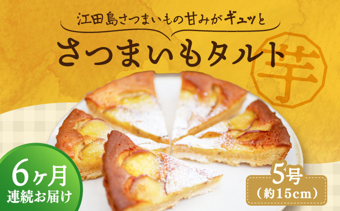 【全6回定期便】気づけばぺろり必至！てくてくのさつまいもたると ホール5号 江田島市/峰商事 合同会社[XAD068] 定期便