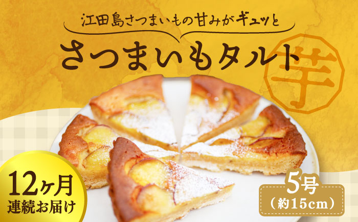 【全12回定期便】気づけばぺろり必至！てくてくのさつまいもたると ホール5号 江田島市/峰商事 合同会社[XAD069] 定期便