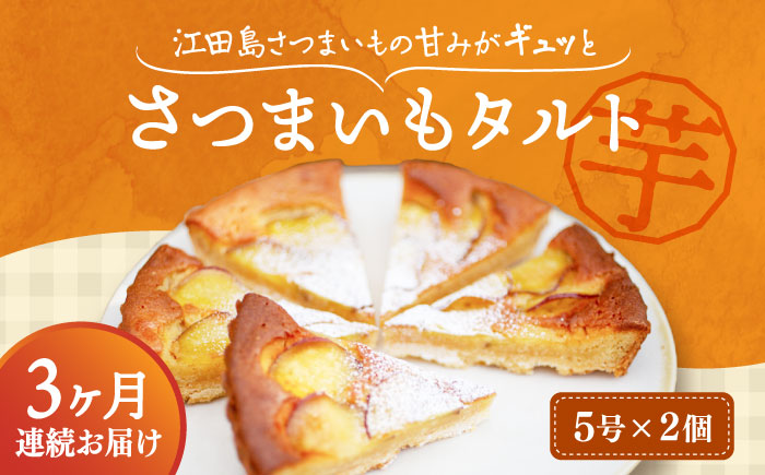 【全3回定期便】気づけばぺろり必至！てくてくのさつまいもたると ホール5号×2個セット 江田島市/峰商事 合同会社[XAD070] 定期便