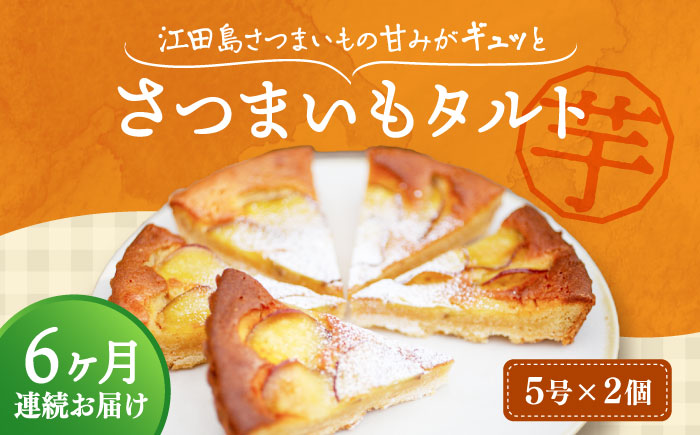 【全6回定期便】気づけばぺろり必至！てくてくのさつまいもたると ホール5号×2個セット 江田島市/峰商事 合同会社[XAD071] 定期便